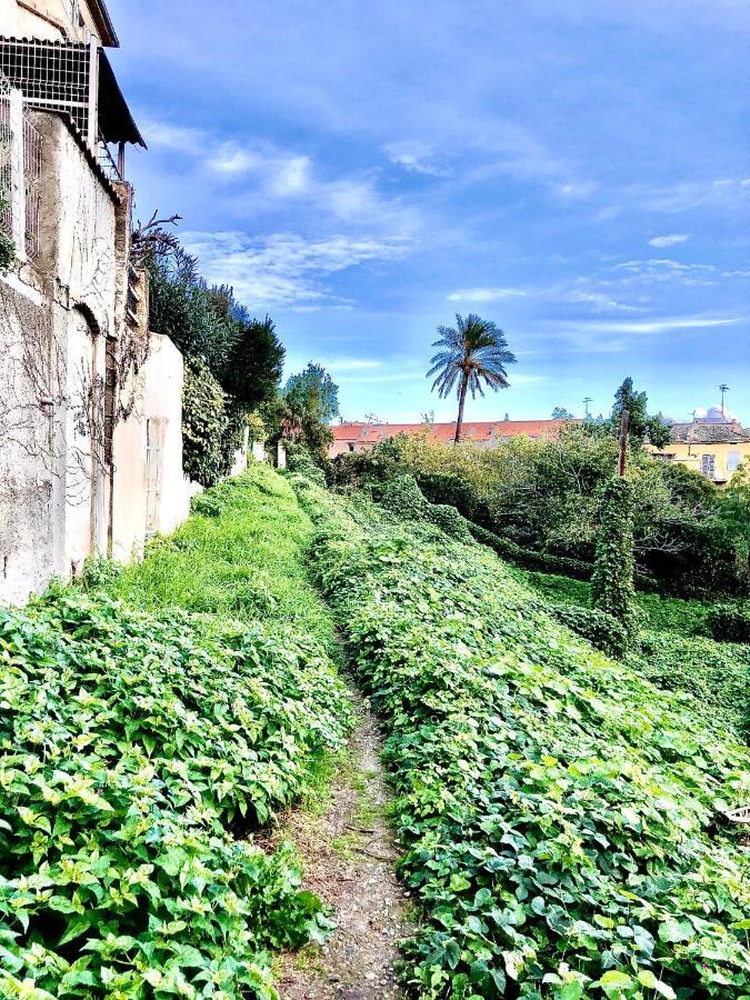Villa Campana - Bastia Centre エクステリア 写真
